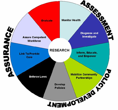 Pie Chart showing responsibilities under these categories Assessment, Policy development, Assurance. Those words are around the outside of the pie chart - with &quot;pie peices&quot; under those categories listing activities associated with that category