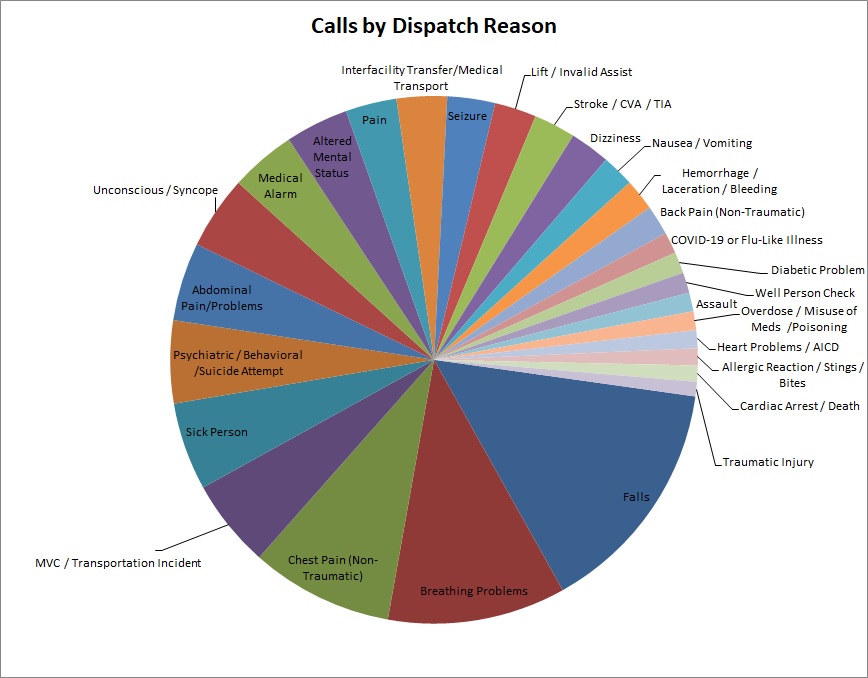 Graph Showing the Call Dispatch Reasons for 2021 